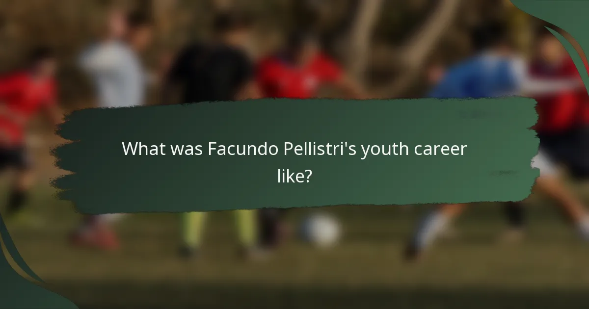 What was Facundo Pellistri's youth career like?